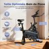 Indoor Cycling Bike iScooter QK116 6KG Flywheel Adjustable Resistance Magnetic Spin Bike LCD Screen Silent Belt