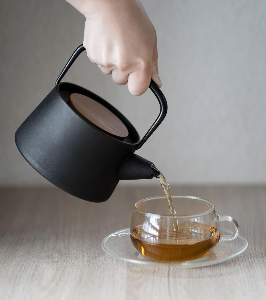 Ikenaga Iron Works Teapot Nanbu Ironware Made In Japan Tetu 0.56L