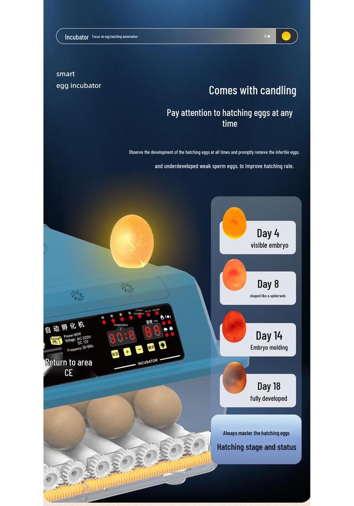 Fully Automatic Household Mini Egg Incubator with Smart Egg Turner