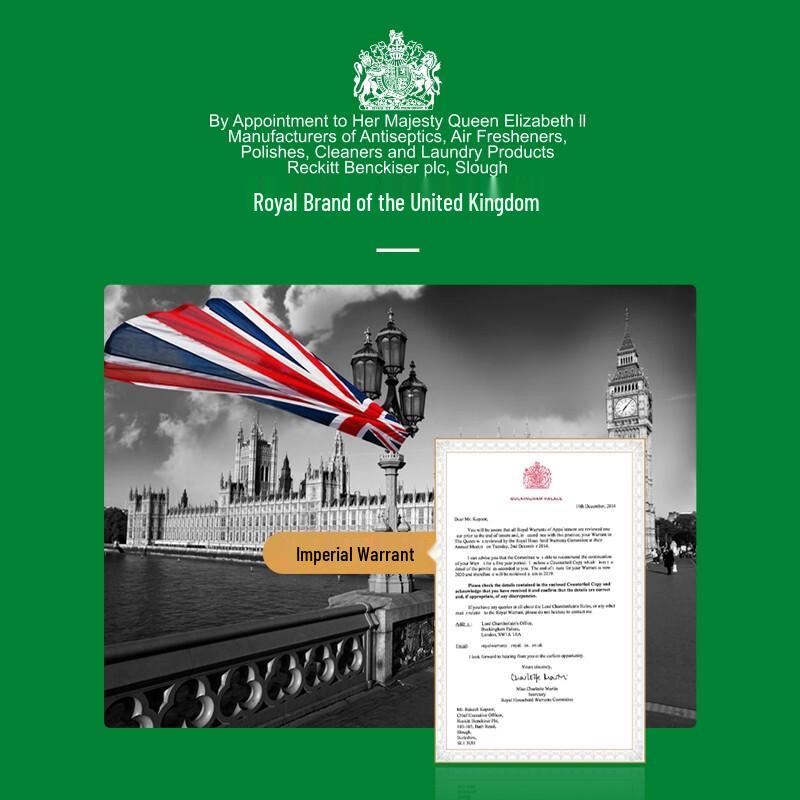 Dettol Grapefruit Foam Hand Wash (4 X 250ml)