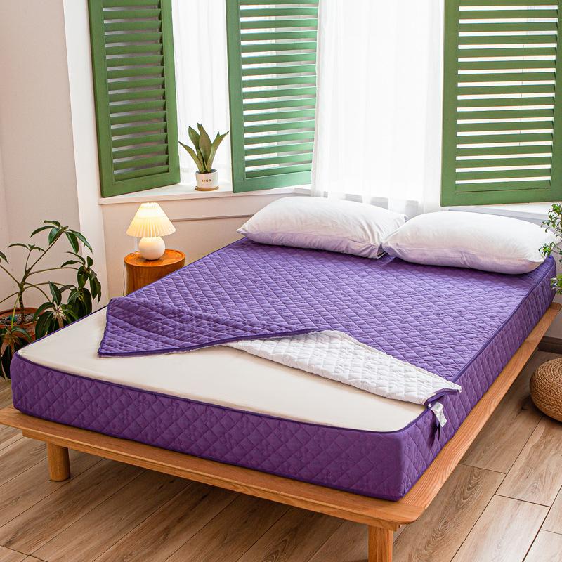 Solid Color Zipper Quilted Mattress Cover King Queen Twin Size Removable Six-sides All-inclusive Anti-mite Bed Protector Cover