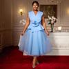 Plus Size Women's Light Blue Elegant V-neck Dress 3D Floral Formal Party Evening Gown