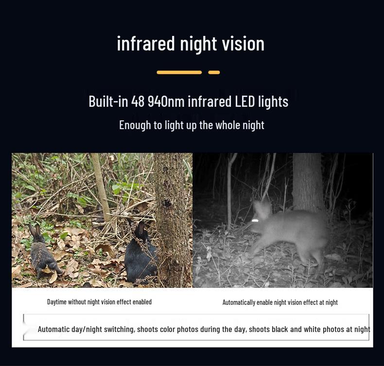HD Infrarot Nachtsicht Jagdkamera für Tierbeobachtung im Freien