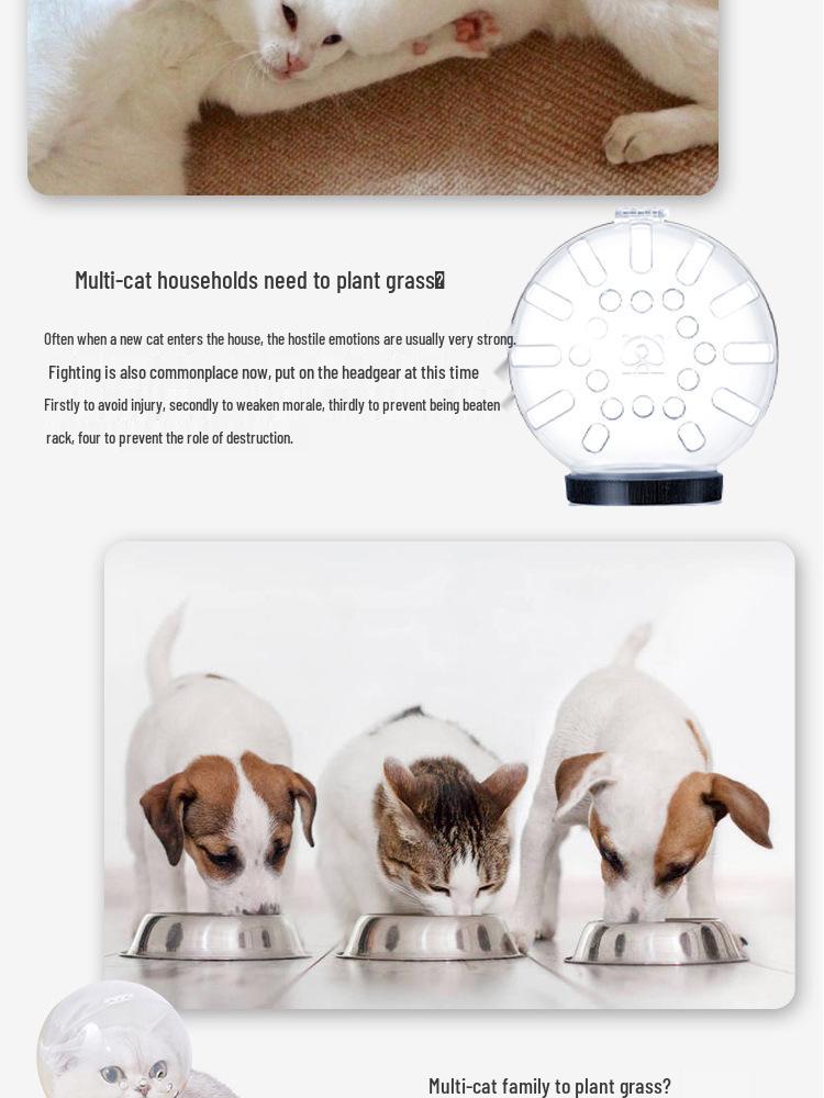 Cat Space Helmet Safety Headgear - Anti-Bite Elizabeth Collar for Pets