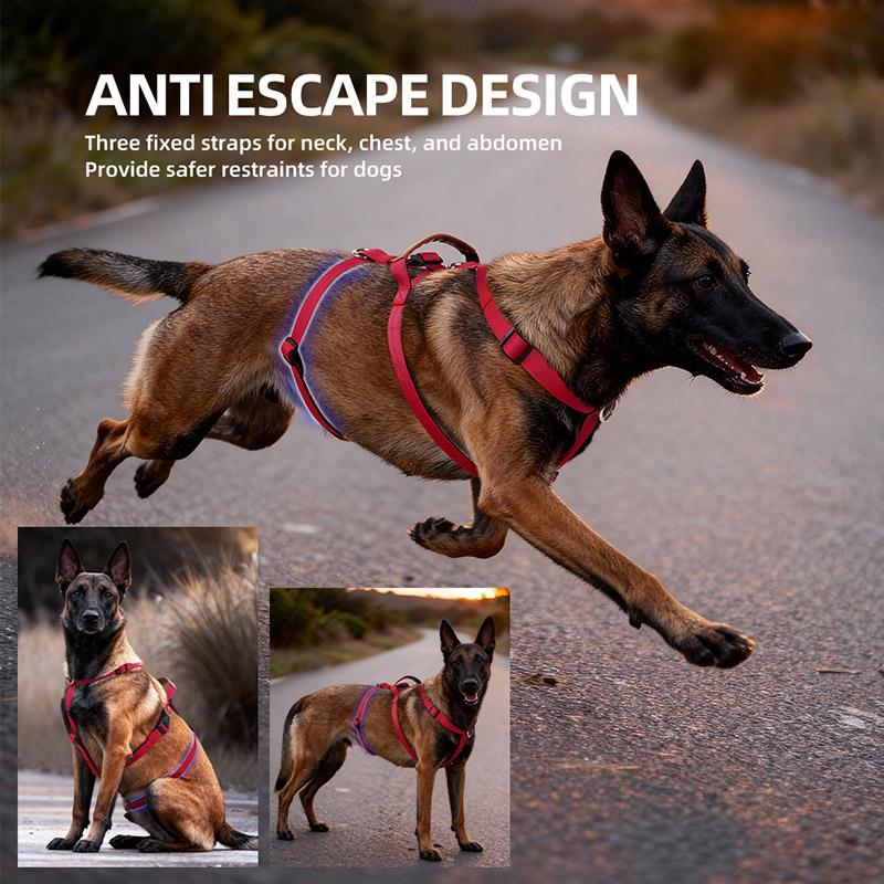 Escape-Proof Nylon Dog Harness with Handle Adjustable No-Pull Pet Harness for Medium Large Dogs Golden Retriever Husky Supplies