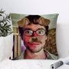 Im Insane Will GGraham Cushion Cover Eco Linen Pillow Case DoubleSided Print Breathable Durable Zipper Home Decor Gift