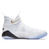Nike LeBron Zoom Soldier 11 Court General 897644-101