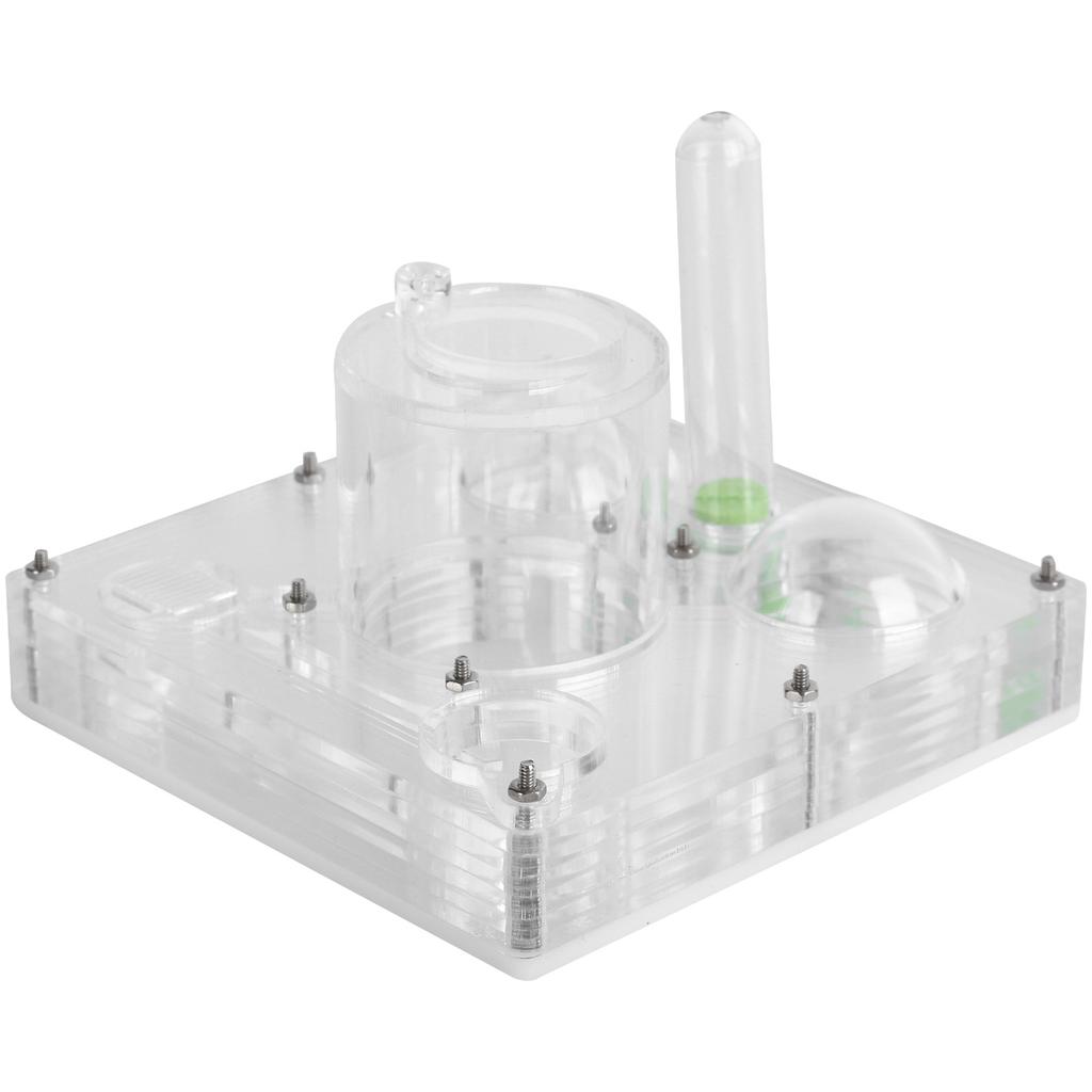 Acrylic Ant Breeding Box Transparent Watching Feeding Case Ants House Toy for Children