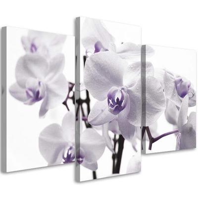 Třídílný obraz na plátně Orchid Blossom Purple