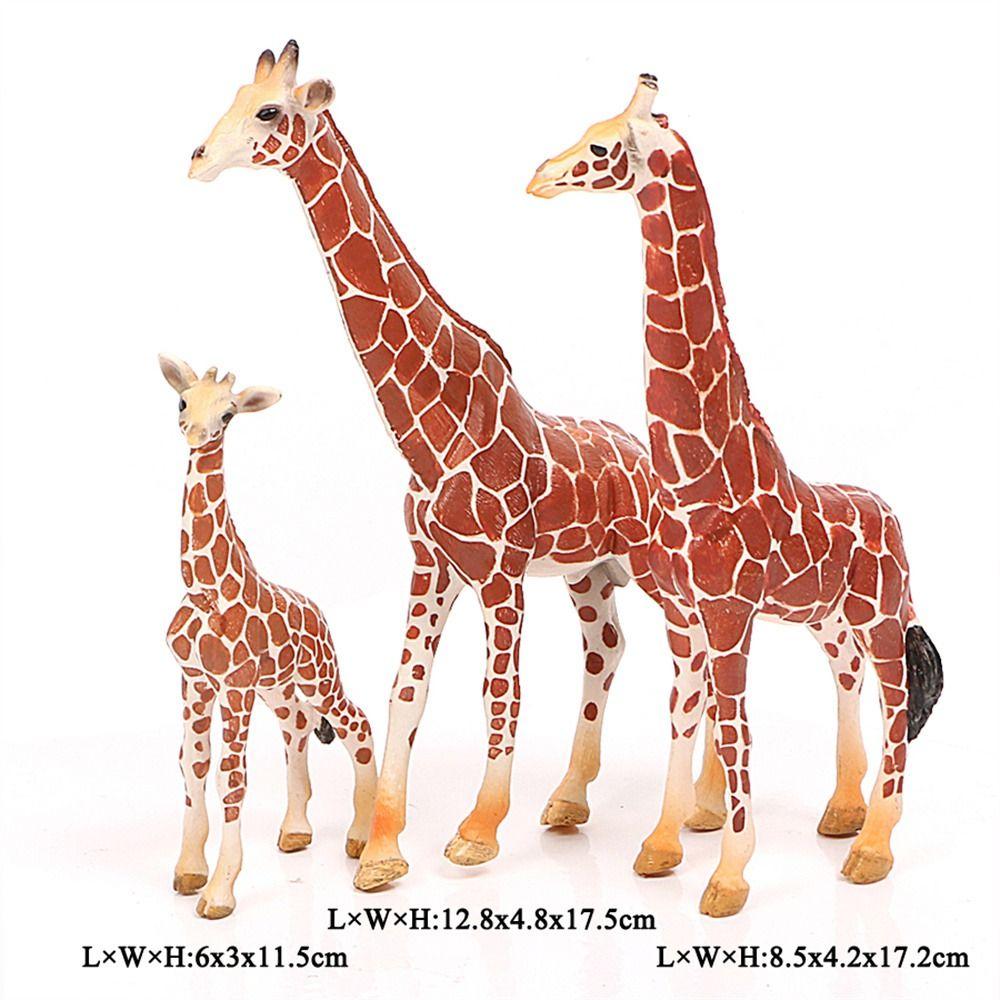 Lion Raccoon Bear Animals Action Figures Simulation Animals Miniature Figurines Animals Models