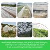 Plant Potection Net Greenhouse Protective Net 60mesh Fruit Vegetables Care Cover Garden Pest Control Insect Net Plant Cover Net