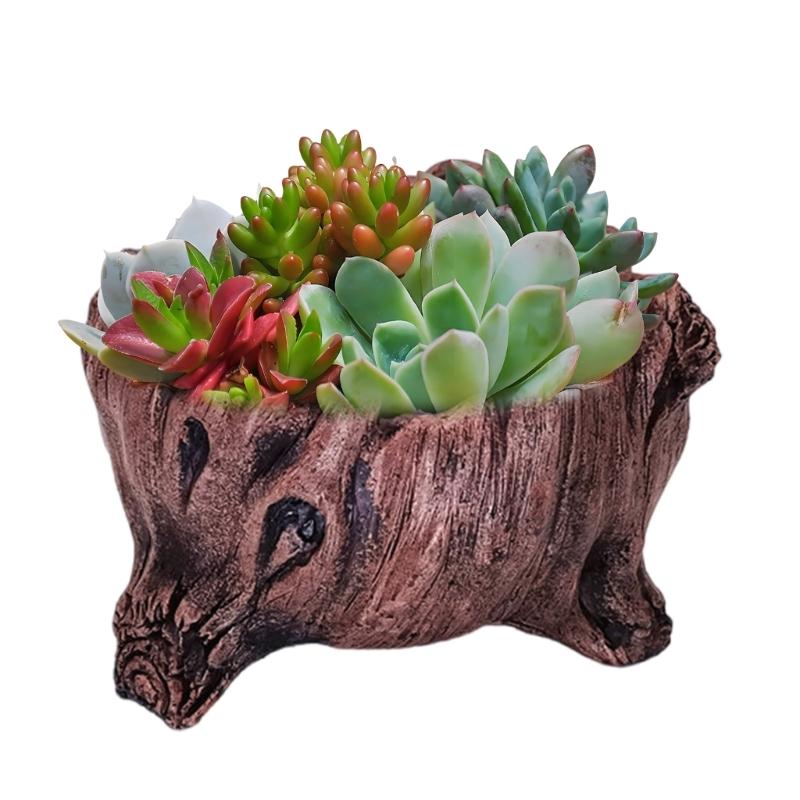 Stylish Cement Tree Root Succulent Pots Cement Tree Root Look Planter Flower Pots for Adding Unique Charm to Interiors