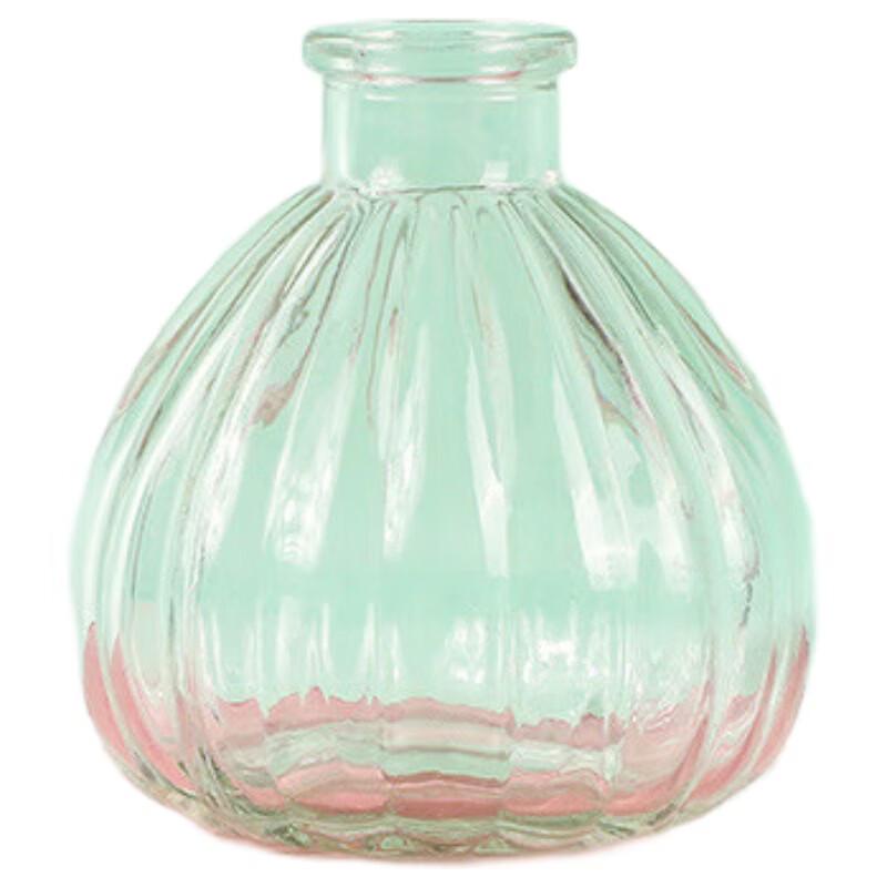 

Mini Pumpkin Hydroponic Glass Vases