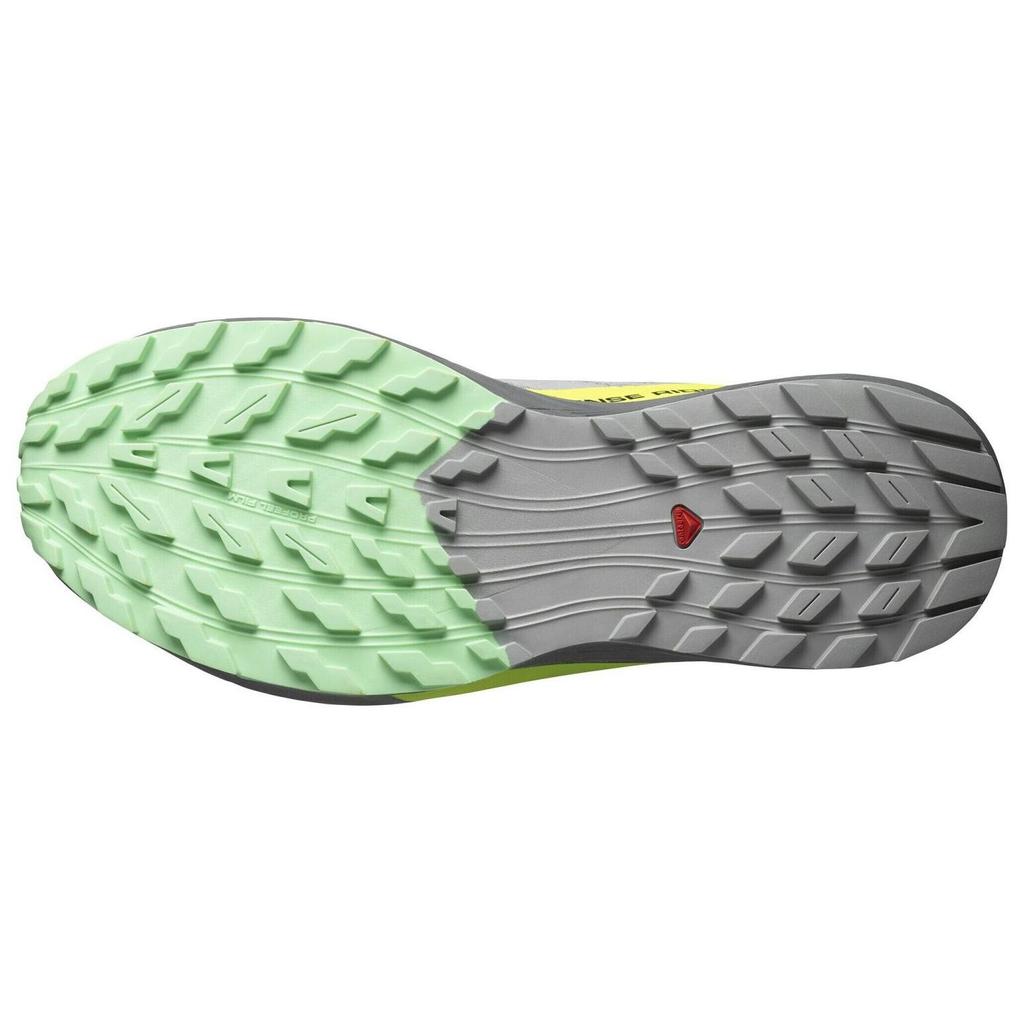 SALOMON Sense Ride 5 'Grey' L47144200