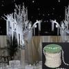 Garden Decor Clear Romantic Party Wedding Curtain Bead Garland Strand Acrylic