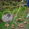 Mushroom Foraging Picker Ergonomic Adjustable Length Stainless Steel Tool