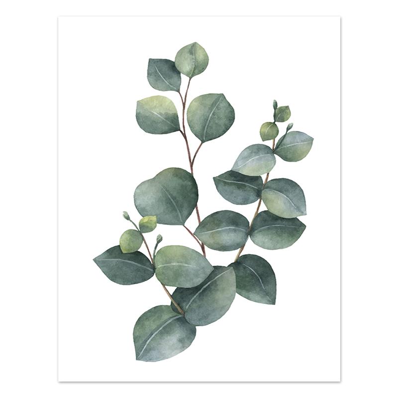 

Зеленое растение, эвкалипт, плакат с принтом, сочные настенные художественные картины на холсте, скандинавские листья, картина для гостиной, современный домашний декор 21x30cm No Framed