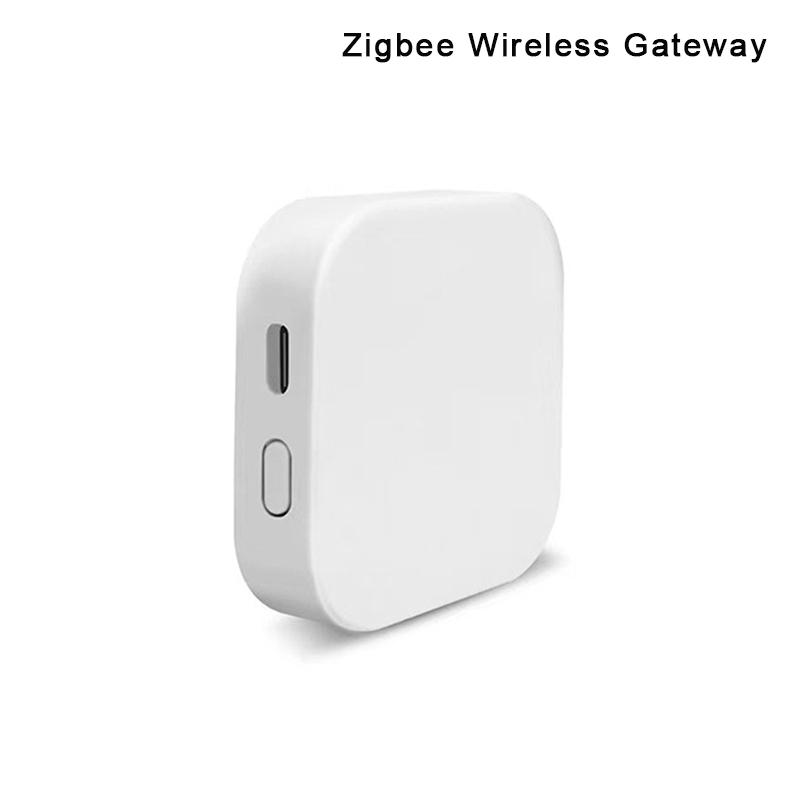 Wireless Smart Sensor Portable Tiny Temperature Humidity Monitor Compatible With Home Assistant