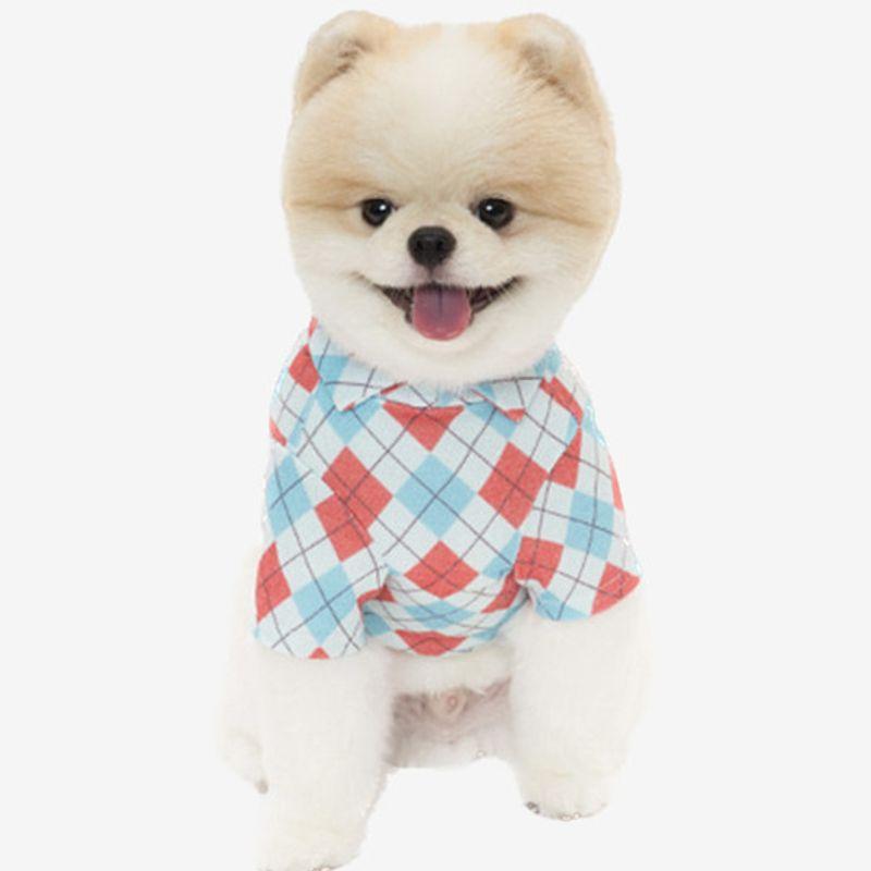 SALTYHEARTY Standard Check Collar Top RED