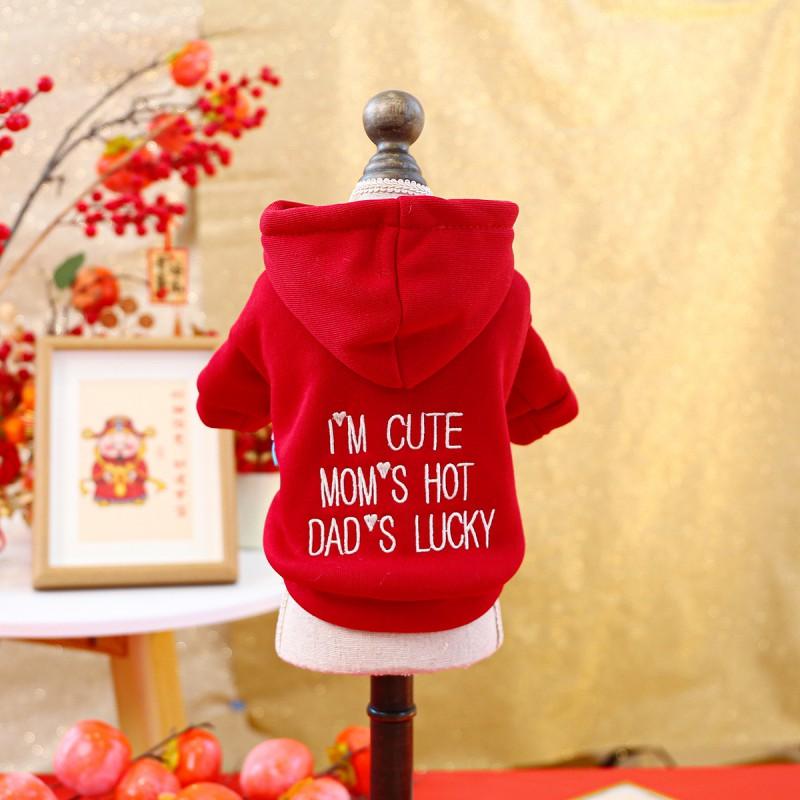 New Pet Sweater Warm Two-Leg Clothes Dogs Cats Festive Outfit