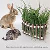Hanging Chew Toy Hays Feeders for Small Pet Rabbits Cosist of Natural