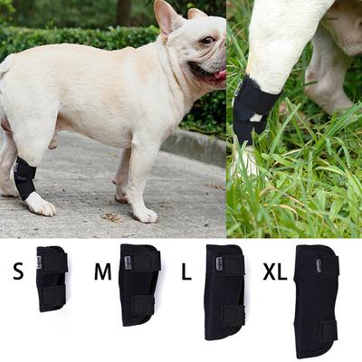 petsmart knee brace for dogs