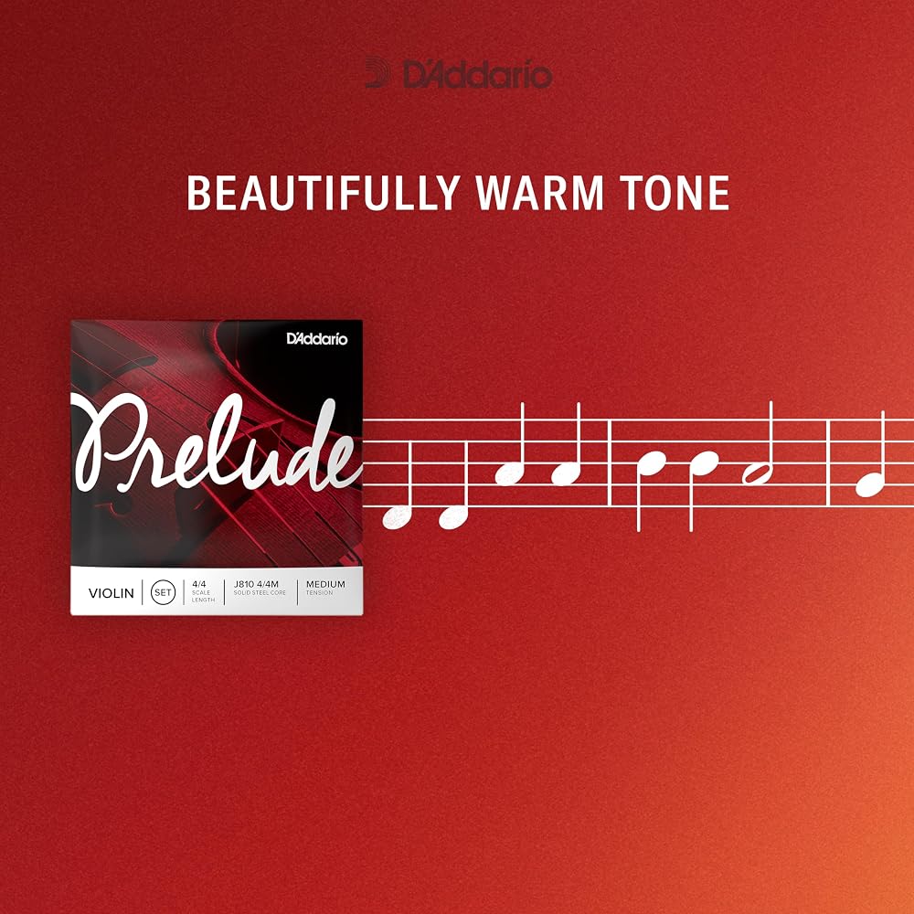 D'Addario Daddario Violin String Prelude Set J810 1/2M Medium Tension [Domestic Genuine]