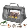Transparent Outdoor Bird Carrier for Parrots, Cockatiels, Pigeons & Small Pets
