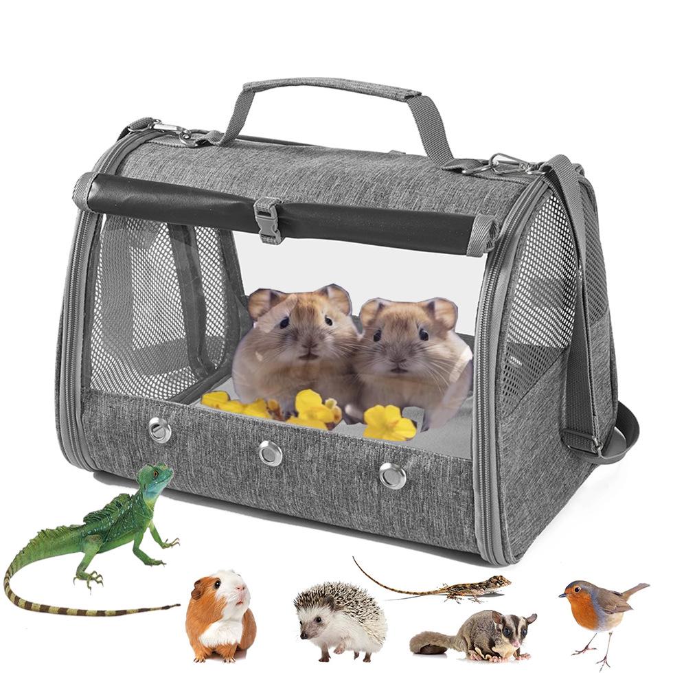 Transparent Outdoor Bird Carrier for Parrots, Cockatiels, Pigeons & Small Pets