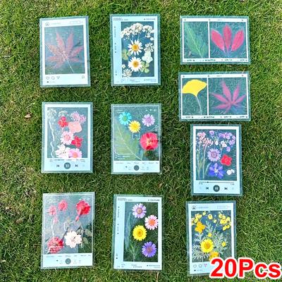 20PCS Frame Type Sticker Specimens Leaves Plastic Wrap Handmade Transparent Plants Bookmarks Artistic Dried Flowers Handmade DIY