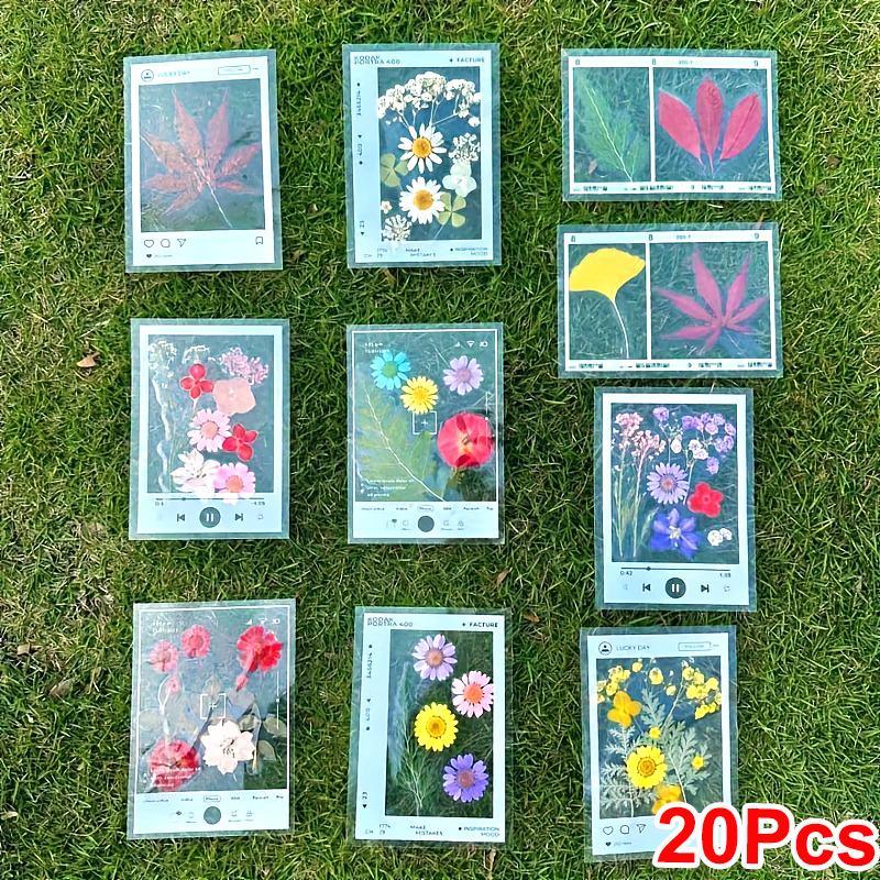 20PCS Specimens Handmade Plastic Wrap Sticker Transparent Artistic Frame Type Handmade DIY Bookmarks Leaves Dried Flowers Plants