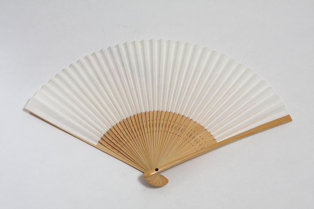 Hasegawa Women's Folding Fan with Pouch and Presentation Box, Made In Japan (Wisteria Flower Design)