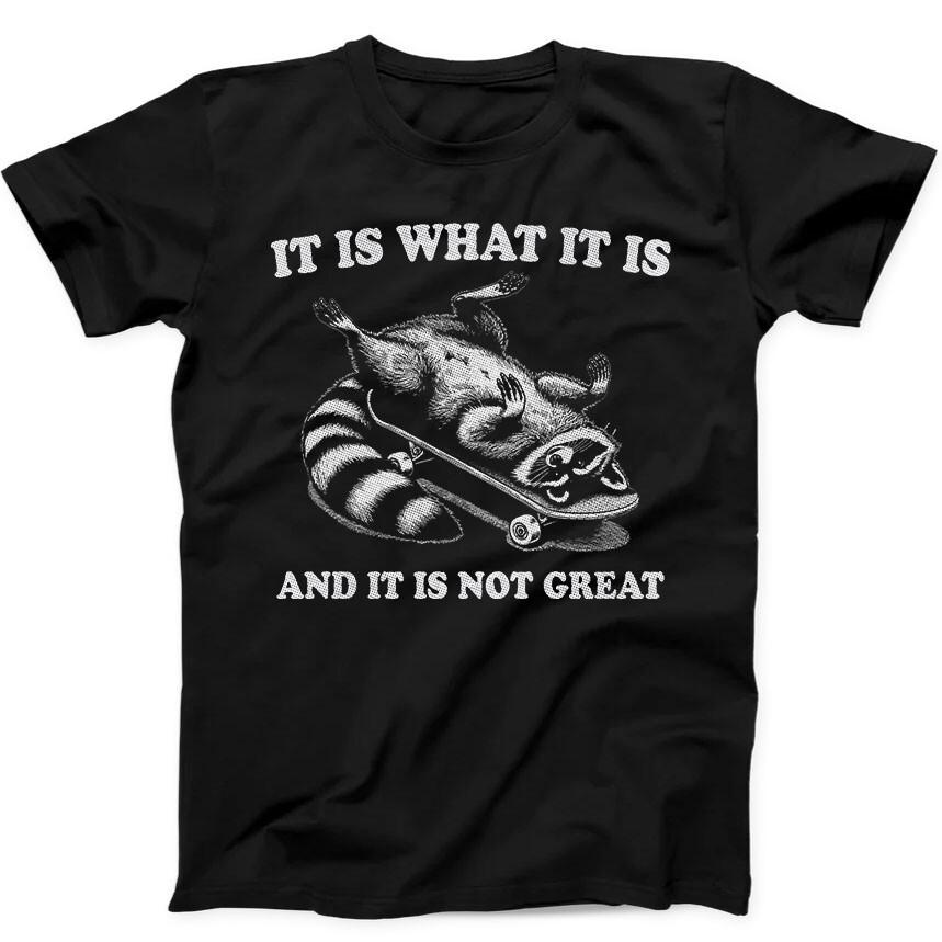 

It is What It is and It s Not Great Raccoon Funny Gift Black Tee T Shirt 173 2XL