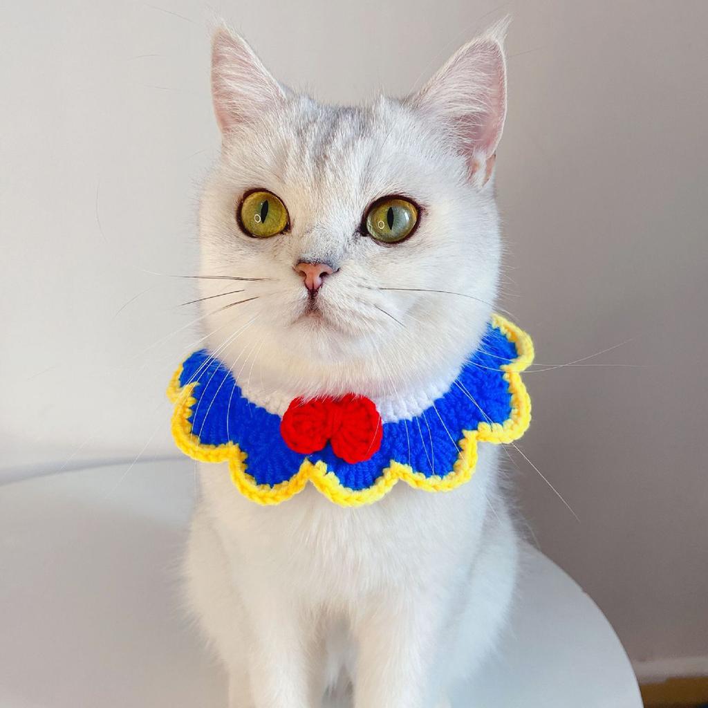 cat collar and tie