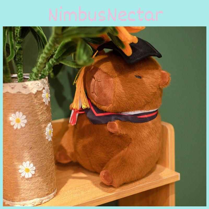 Capybara Doctor Student Plush Toy Stuffed Doll Graduation Gift Decoration 23cm