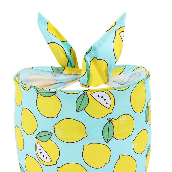 Pet Saliva Towel Fruit Print Adjustable Triangle Scarf Cat Dog Bandanas