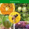 Bee and Fly Attractant Sticky Citrus Trap Ball for Fruit Trees and Melon Orchards