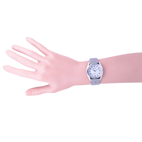 Citizen Men's RS25-0043C ( Watch REGUNO Men's) Round Watch Silver Stainless Analog