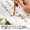 Heart Sutra Copying Paper Set Sheets of Copying Paper Brush Tracing with Sample Large Size 67cm X 35cm Line Width (20 + Pen) -25cm
