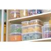 Iwasaki Industrial Fresh Keeper L Commercial Food Storage Container, 4L, with Rack, B-322 N