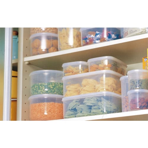 Iwasaki Industrial Fresh Keeper L Commercial Food Storage Container, 4L, with Rack, B-322 N