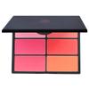 Six-Color Blush Palette: Large Multi-Tone Rouge for Makeup Artists and Students - Ideal for Studio and Stage.