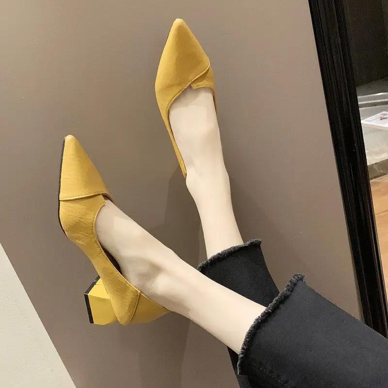 Fashion Pointed Toe Chunky Heels Women's Shoes Leather Casual Block Heel Ladies Pumps with Medium on Promotion Fashion Genuine Mark Y2k