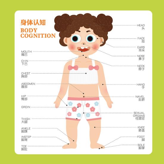 Magnetic Body Structure Puzzle Book Wooden Preschool Body Parts Learning Puzzle Book Parent-child Interactive Educational Human Anatomy Book