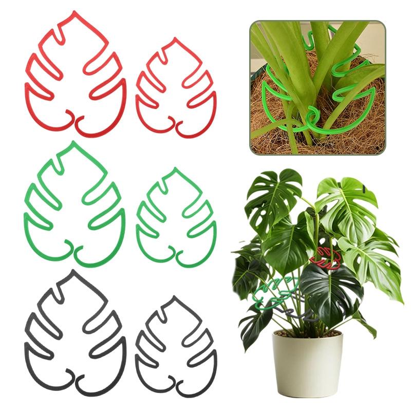 Acrylic Plastic Clamp For Monstera Plant Home Potted Plant Fixing Shape Clips Plant Support Cage Flower Upward Growing Rack