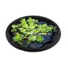 Floating Island Plant Protector Pond Basket with Fine Mesh Round Floating Flora Fish Barrier Floating Island Planter