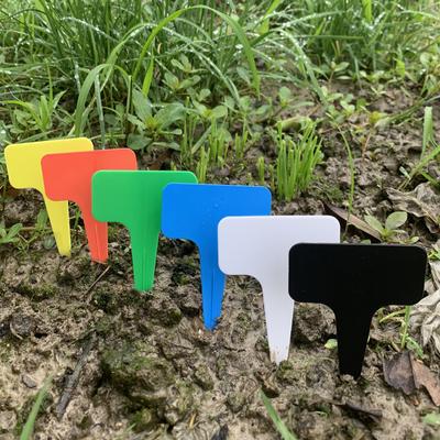 50Pcs  Nursery Thick Plastic T-Shaped Labels, Plant Flower Tags, Garden Decoration And Gardening Signs