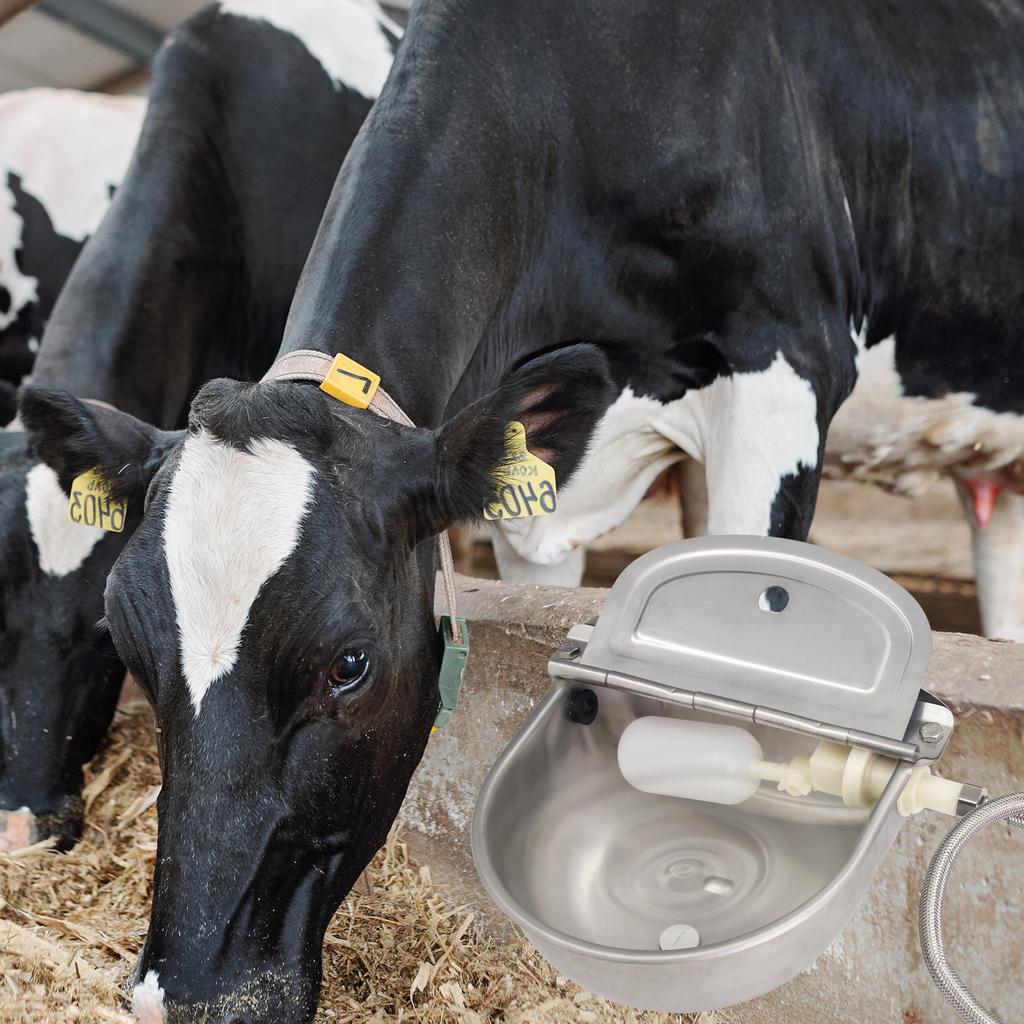 Automatic Cow Water Bowl Stainless Steel Drinking Waterer Bowl With Floating Ball For Cattle Sheep Float Bowl Goat Livestock