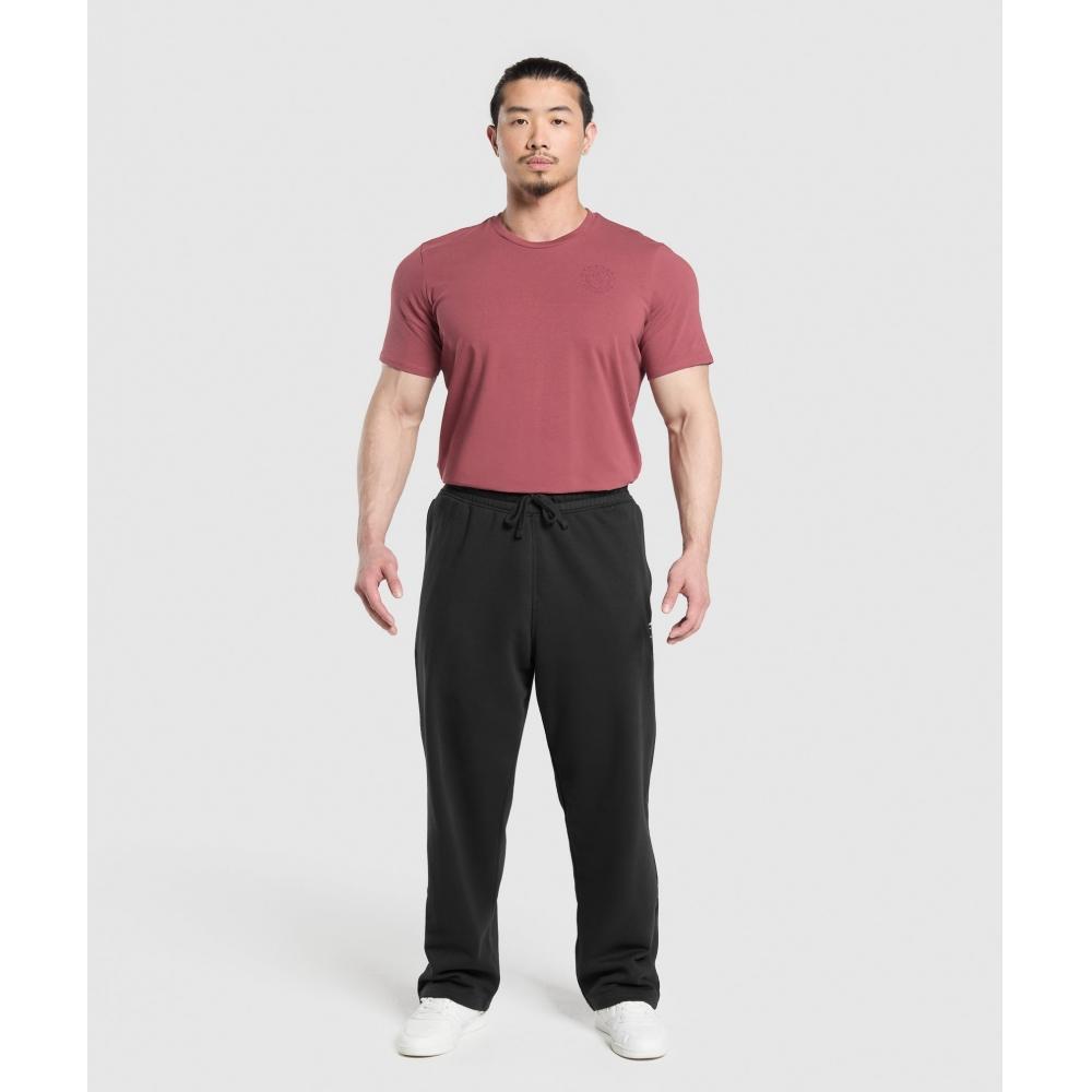 Gymshark T-shirt Legacy rose baie délavé A5a3b Kcps