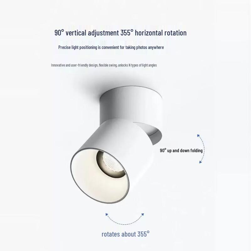 Oeny Adjustable Angle LED Downlight